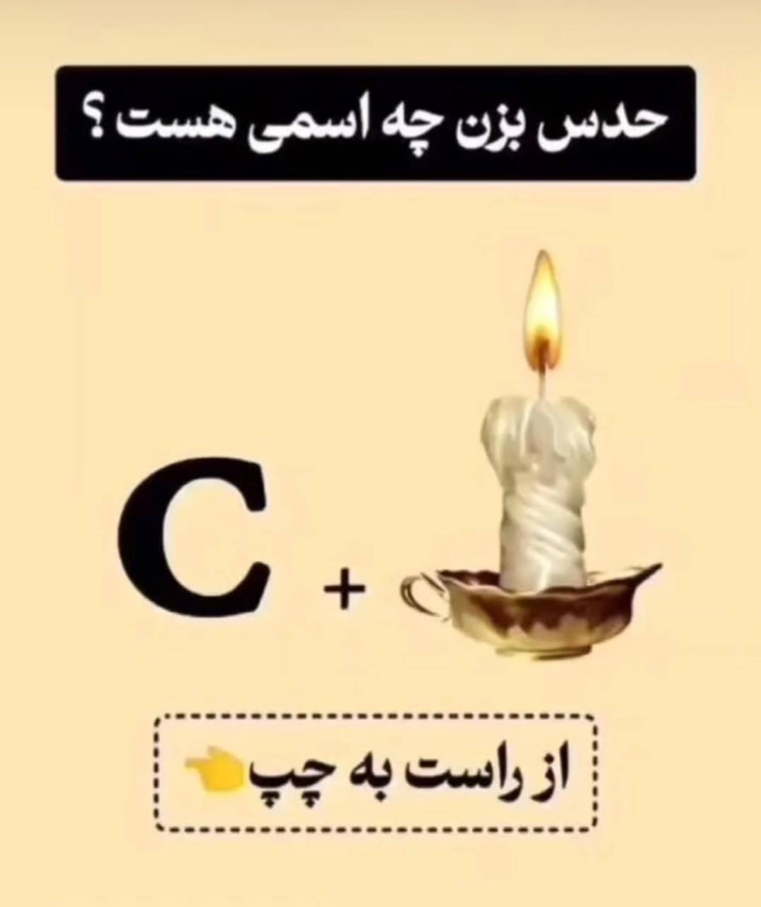 شماره 81